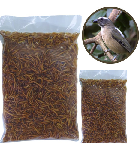 Larva Tenébrio Molitor Comum Desidratado 500g