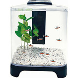 Penn-plax Betta Kit De Acuario Con Luz Led Y Filtro Interno,