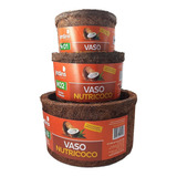 Vaso C/3 Xaxim De Coco Para Samambaias Plantas Ornamentais