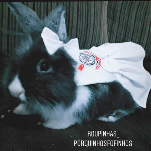 Roupa Pet Time Mini Coelho E Porquinho Da India