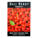 Baker Creek Heirloom Seeds Baya De Goji 50 Semillas