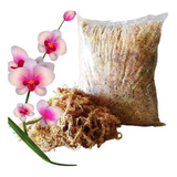 Musgo Sustrato Para Orquideas (10 Kilo, Musgo Sphagnum)