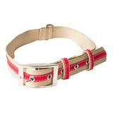 Collar Perro  Grande Combinado Rascals