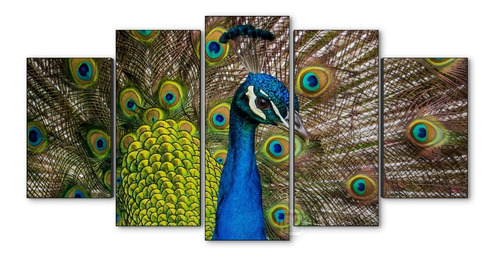 Cuadro Decorativo Moderno Aves Pavorreal Jd-0029 Xl