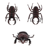3 Piezas De Insectos De Escarabajo Surtidos Artificiales