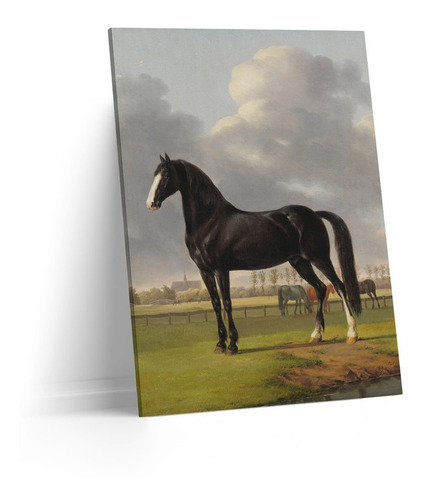 Cuadro Lienzo Canvas 45x60cm Caballo Semental Negro Oleo