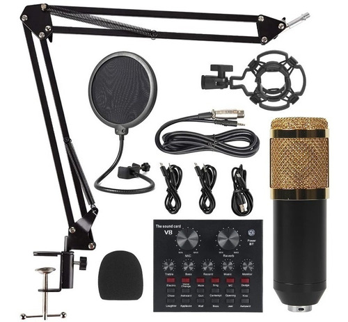 Kit Microfone Condensador Bm800 + Placa De Som Interface V8