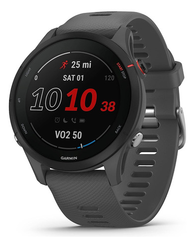 Garmin Forerunner 255 Slate Gray, 45 Mm