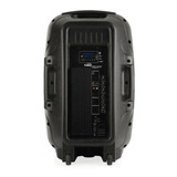 Parlante Kalley K-spk300l 300w Bluetooth/fm/sd/usb