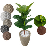 Ficus Lyrata Artificial Toque Real Planta Com Vaso Decoração