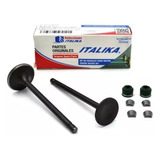 Kit De Valvulas Motor 150z Dm150 Dt150 Sport Original Italik