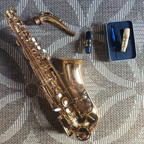 Saxofone Alto Mib Laqueado Fontai E Boq. Theo Wanne Durga 3
