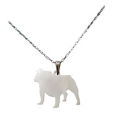 Collar Cadena Perro Bulldog Ingles Mujer Niños Plata 925 + C