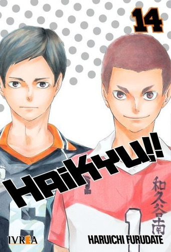 Manga Haikyu Tomo #14 Ivrea Argentina