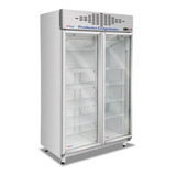 Freezer Exhibidor Vertical De Congelados Forzado Frider Bt2