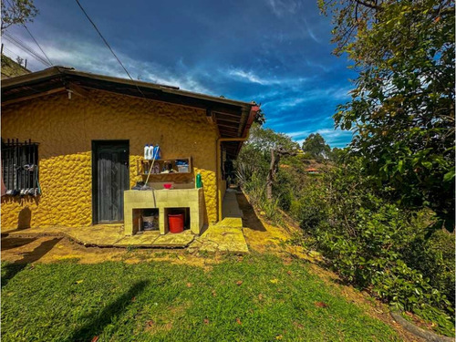 Vendo Finca En Ríonegro 4.150 Metros Ch