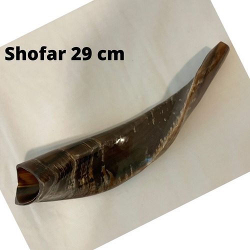 Shofar De Carnero. Entre 29 Y 33 Cm.