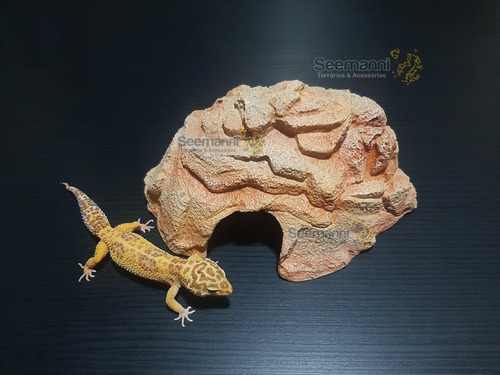 Toca M - Para Leopard Gecko, Etc- Seemanni Terrários