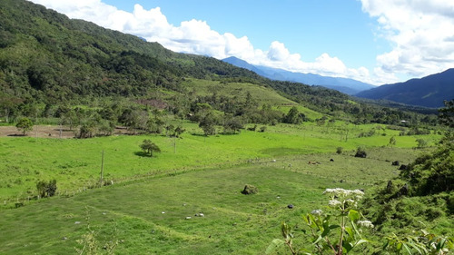 Por Ocación !!!!venta De 76 Hectareas, A Filo De Carretera!!!! - Imagen 2