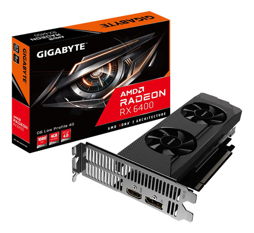 Tarjeta De Video Gigabyte Radeon Rx 6400 D6 Low Profile 4g