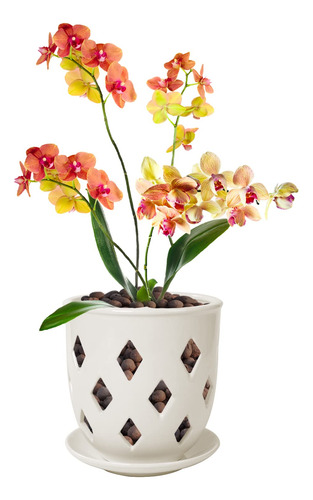 Maceta De Orquídea Cerámica 15cm Con Agujeros Y Platillo