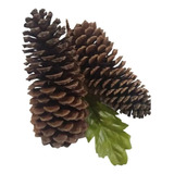 Piñas De Pino Navideñas Naturales Paq Con 10 Pz De 10 A 16cm