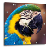 3drose Dpp__1 Ee.uu., Florida Guacamayo, Loro, Pájaro Tropic