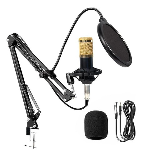 Kit Microfone Condensador + Braço Articulado Profissional