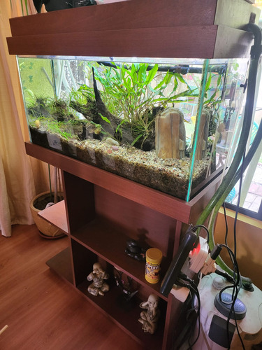 Acuario Plantado Completamente Equipado Con Mueble