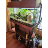 Acuario Plantado Completamente Equipado Con Mueble