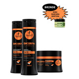 Kit Haskell Encorpa Cabelo Shamp+cond+masc 300ml + Brinde