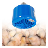 Termostato De Lámpara De Calentamiento De Cultivo Para Pollo