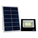 Refletor Com Placa Solar Led Econômico Ip65 100w 6500k