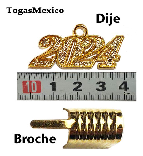 25 Dijes Metal Y Broche Hacer Borla Año 2019 Togas Birretes