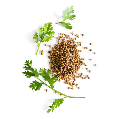 Semillas Cilantro TGB 1 Kg Libre Glúten Pesticidas Químicos Metales | MercadoLibre