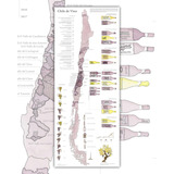 Mapa De Vinos Chile 2022 - Lámina