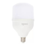 10 Piezas Focos Led 40w Industrial Toledo Luz Fría Igoto