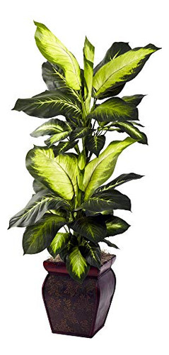 Dieffenbachia Dorada Jardinera Decorativa Verde