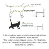 Comedouro/bebedouro Duplo Médio + Tigela Inox P/ Cão Gato