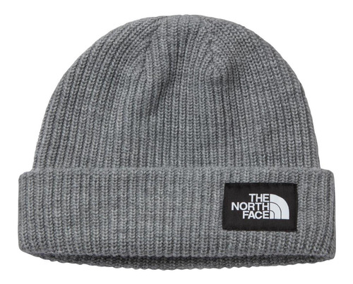 Gorro Salty Dog Unisex The North Face Gris
