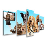 Quadros Decorativos Medicina Veterinária Cão Gato Clínica