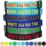 Collar De Perro Personalizado Blueberry Pet 32 Colores