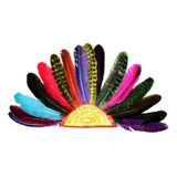 Penacho Azteca Pluma Natural Para Danza Azteca Prehispanica 