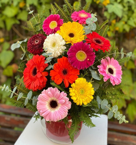 Oferta!! 10 Semillas Gerbera, Mix Colores 