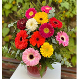 Oferta!! 10 Semillas Gerbera, Mix Colores 