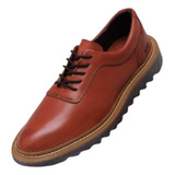 Sapatos Oxfords Masculino H.b Tratorad Terra Cota Café Azul