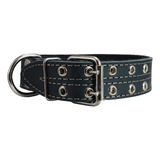 Collar Para Perro De Cuero Genuino, Acolchado, Negro De 1,5 