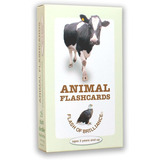 Animal Flash Cards Con La Diversión Hechos Con Español Y .