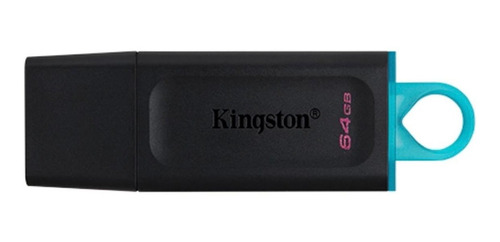 Memoria Usb Kingston 64 Gb Datatraveler G4 