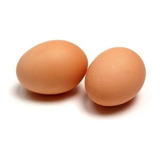 Huevos Nidal Para Gallinas Plástic - Unidad A $650